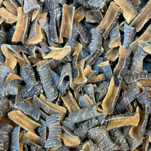 زوايا فتنامي الدرجه الاولى