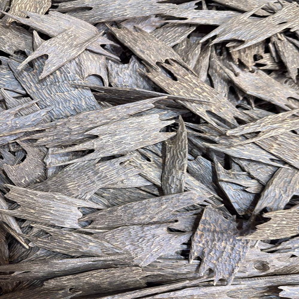 ماليزي محسّن